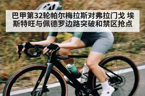 巴甲第32轮帕尔梅拉斯对弗拉门戈 埃斯特旺与佩德罗边路突破和禁区抢点 | kaiyun